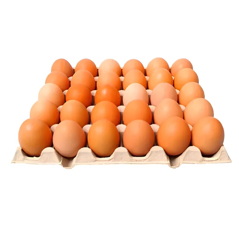 HUEVOS DE CORRAL